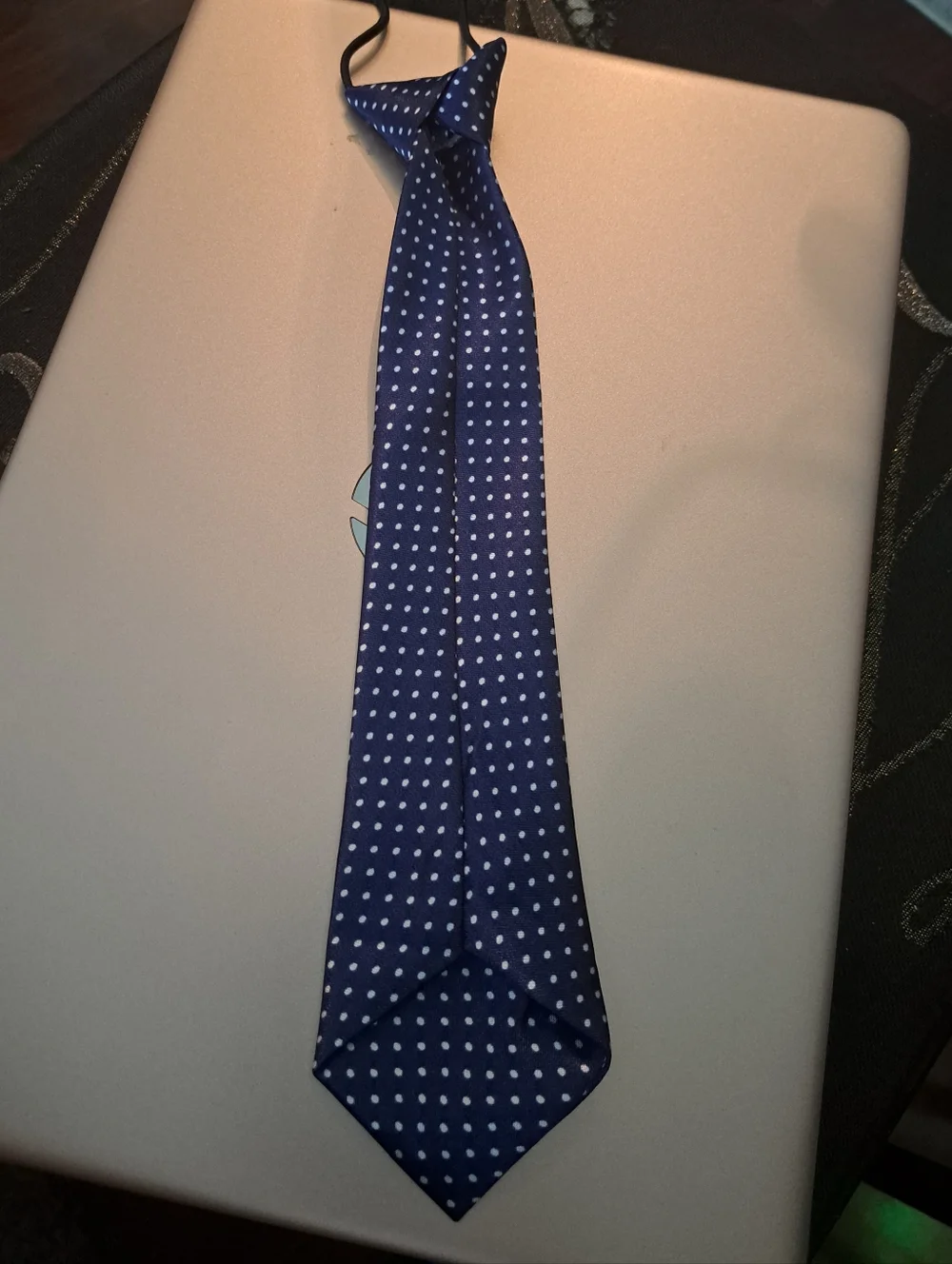 Blue Polka Dot Neck Tie